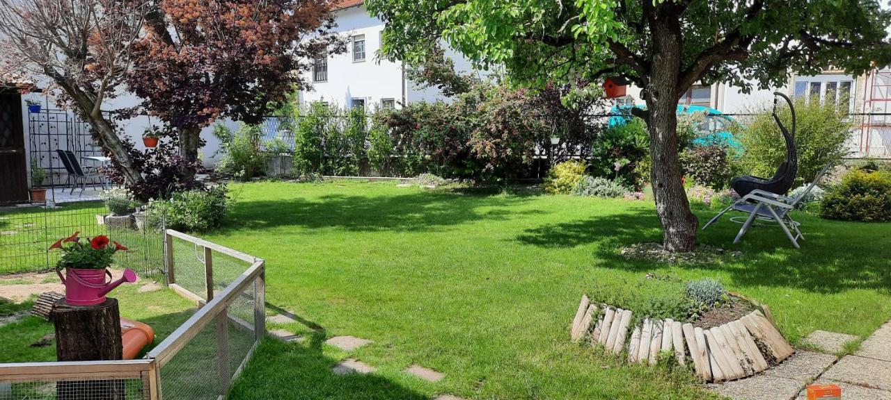Ferienhaus Lina Neusiedl am See Eksteriør billede